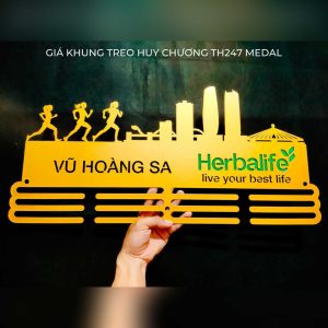 gia-khung-treo-huy-chuong-0970